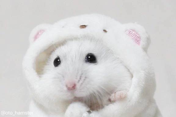 あちあち