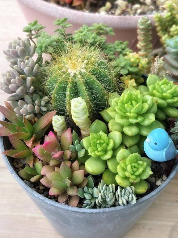 さきのよてい\( *´ω`* )/♪