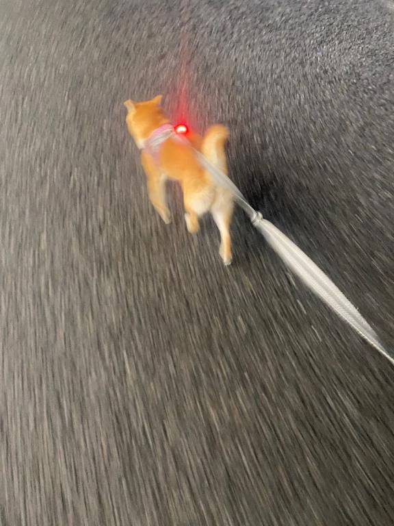おはようございます
