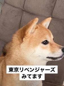 おはようございます(*^^*)
