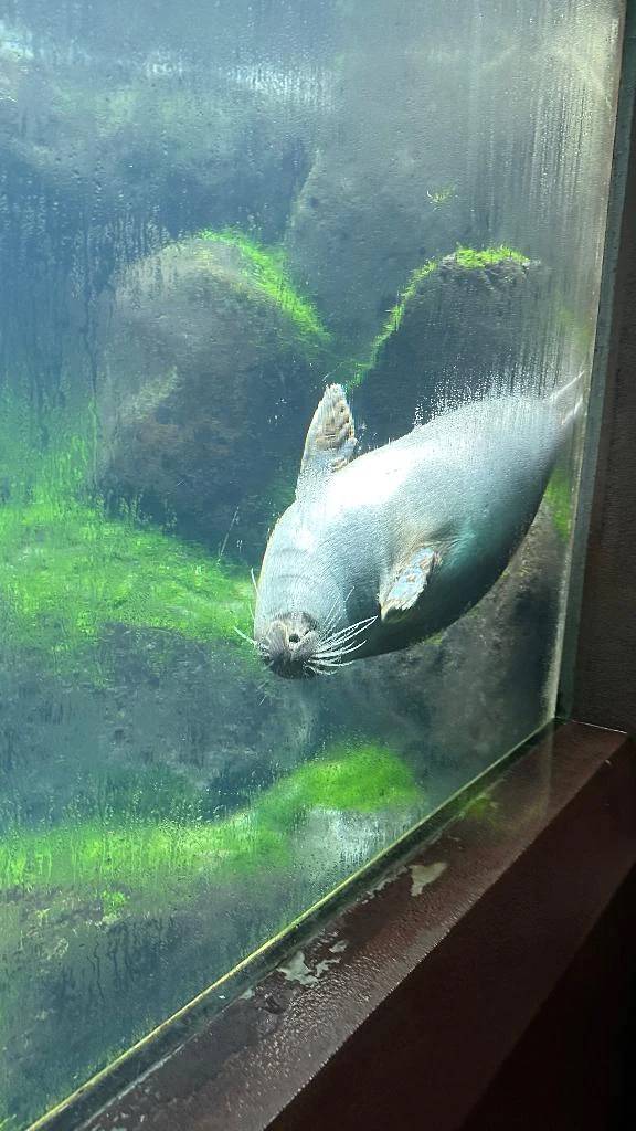 おはようございます☀️