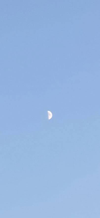 🌓
