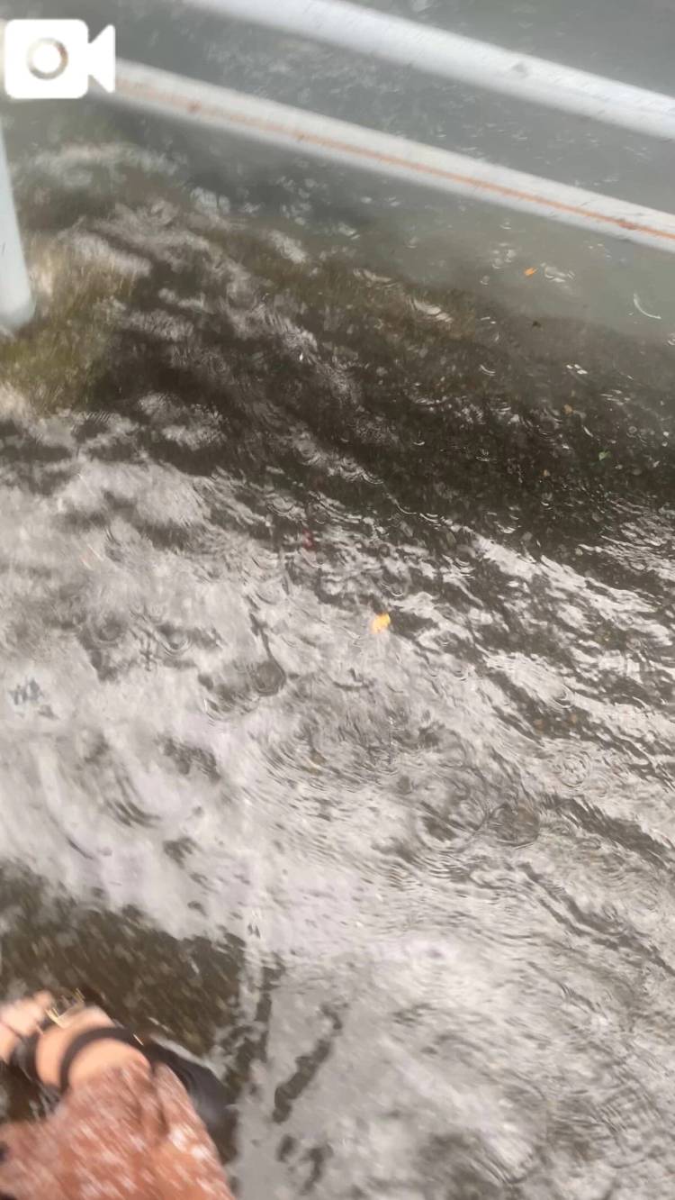 冠水