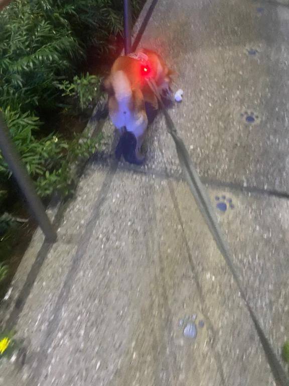 おはようございます