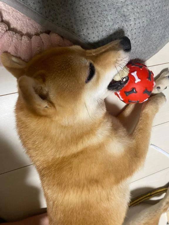 おはようございます☺️
