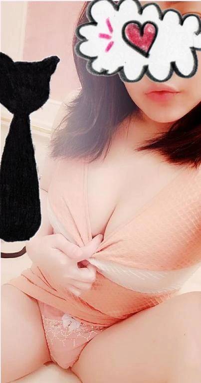 今日も今日とて