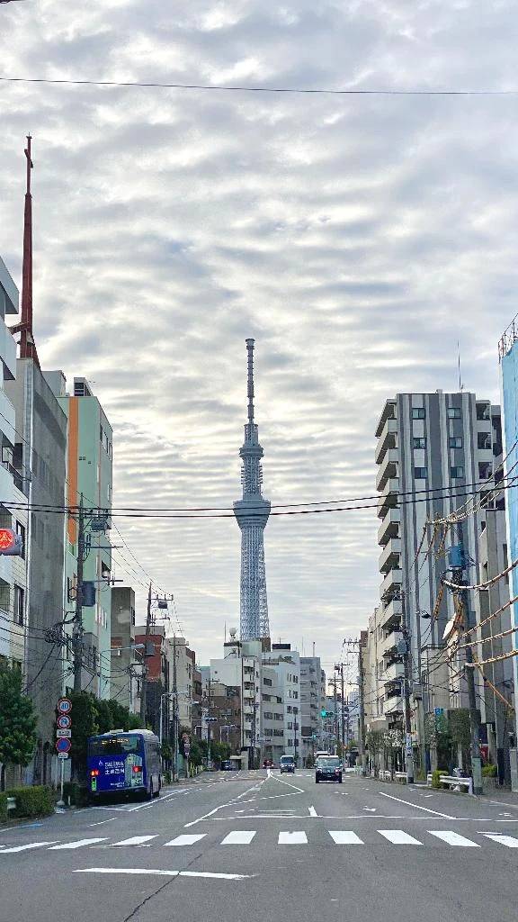 到着❣️