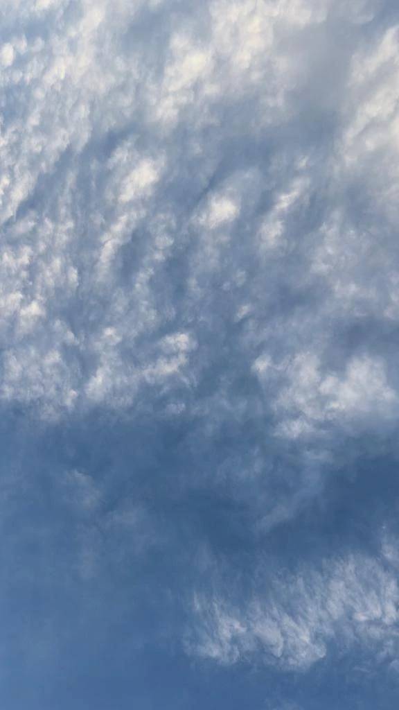 おはようございます☀️