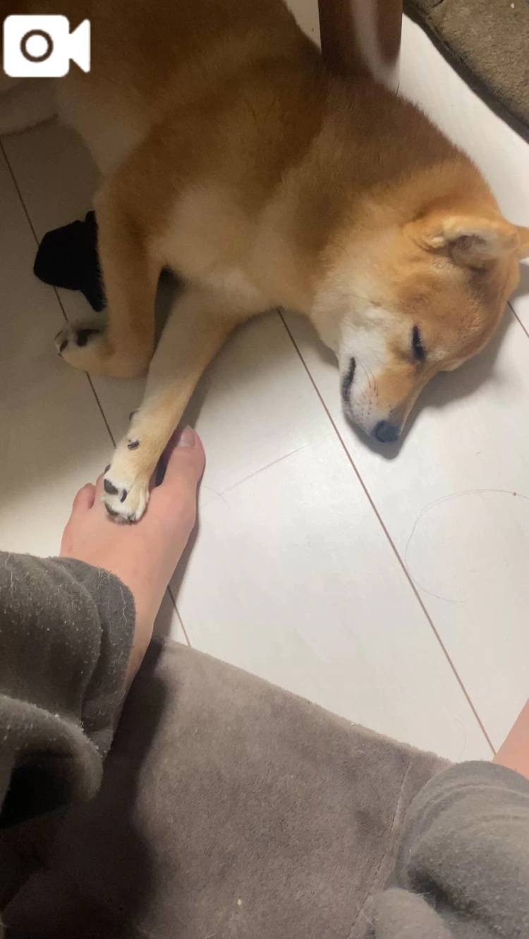 足が🦵