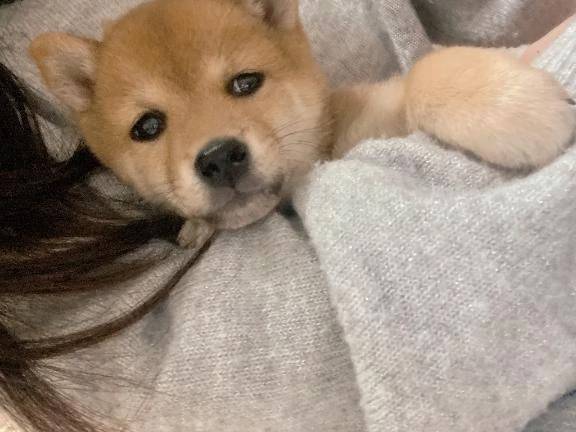 おはようございます