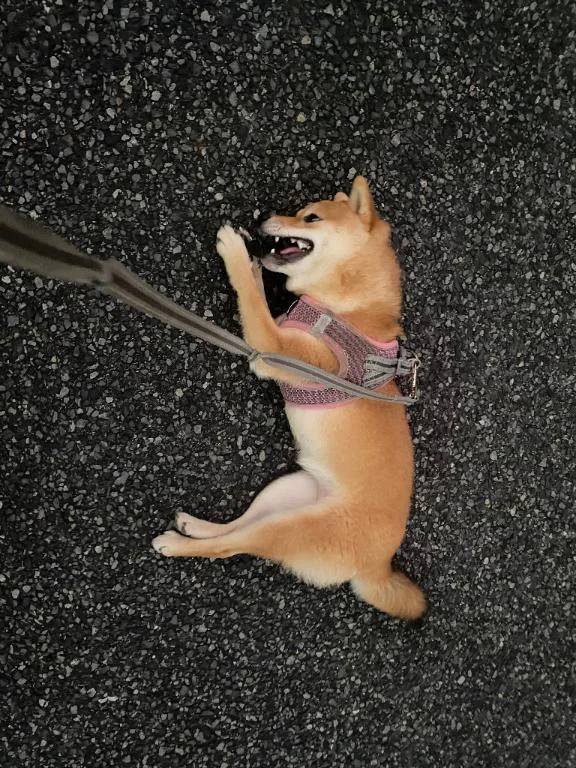 おはようございます
