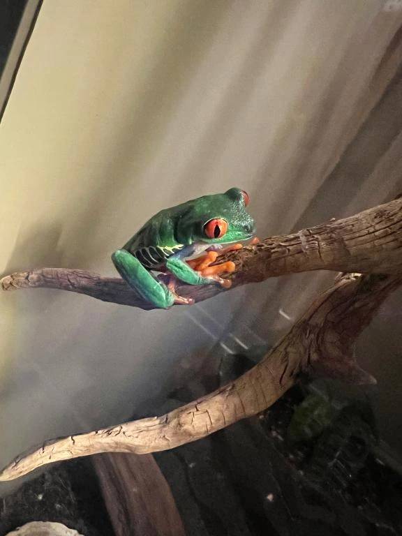 池袋の真夜中の生き物展に行った写真だけど日記とは毛頭関係ない。