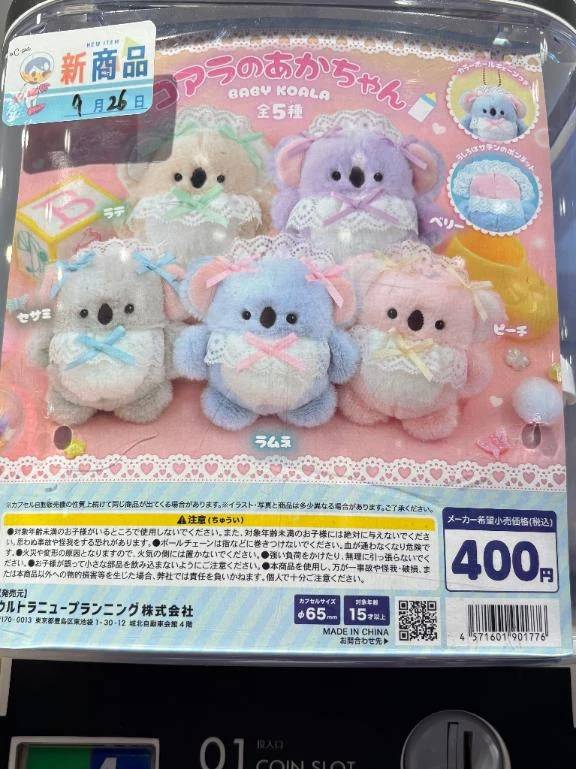 遂にー！🐨❤️‍🔥