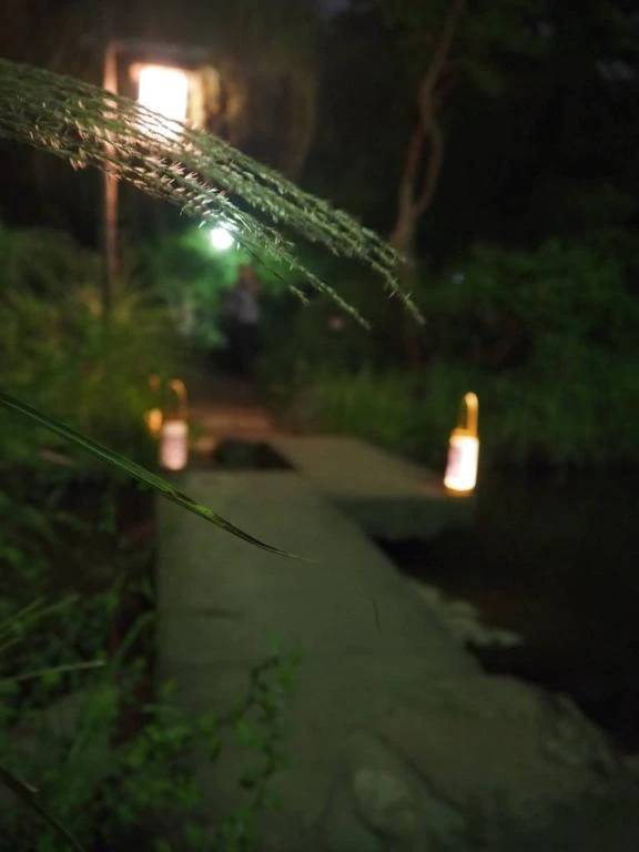 深夜の飯テロ🎑🍢
