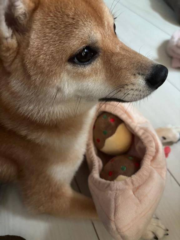 たこちゅ