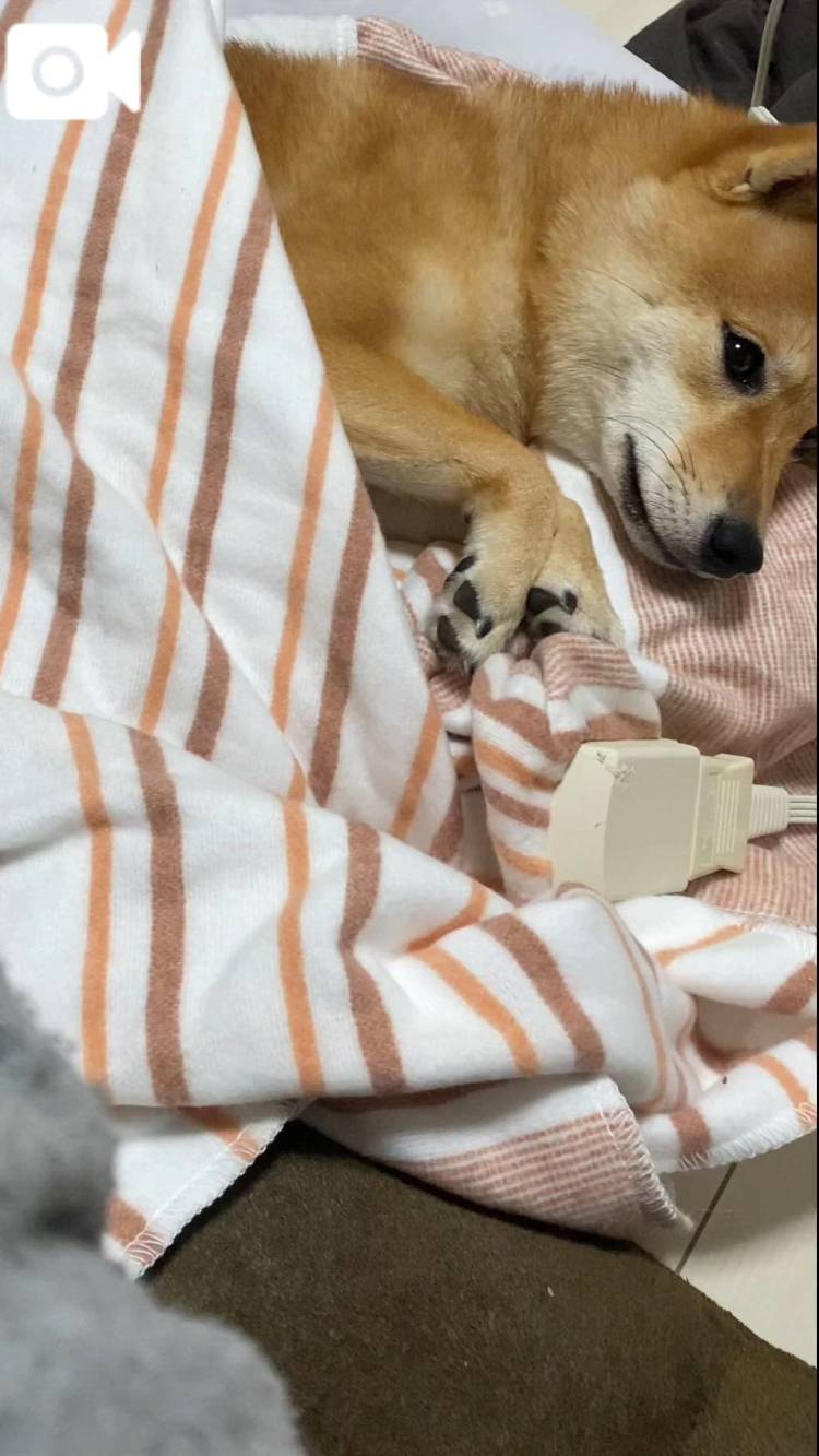 ぬくぬく