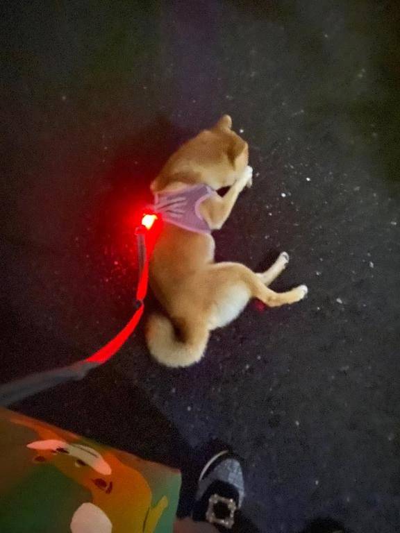 おはようございます
