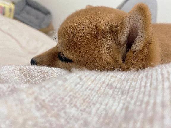さぁ飲むぞ