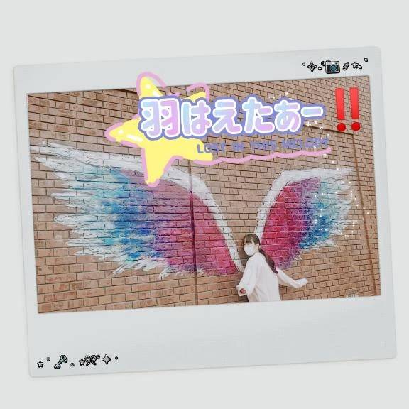 今日は何の日⤴️