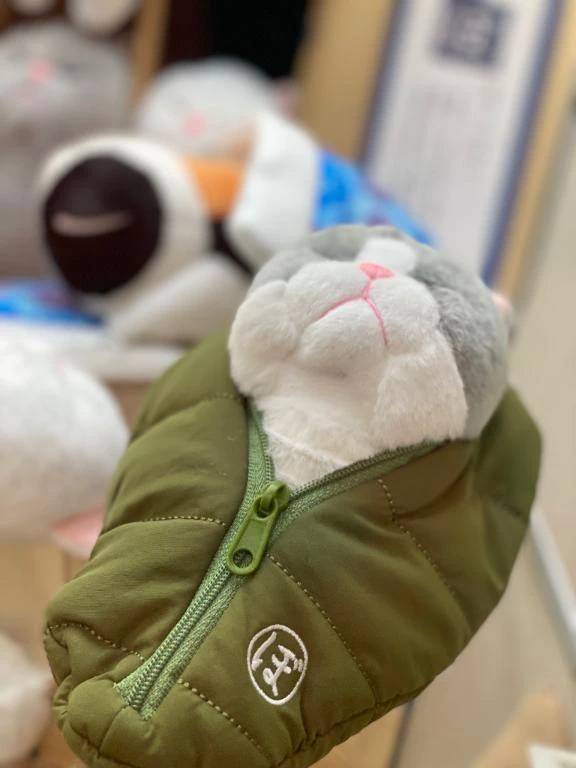 おはようございます☀️