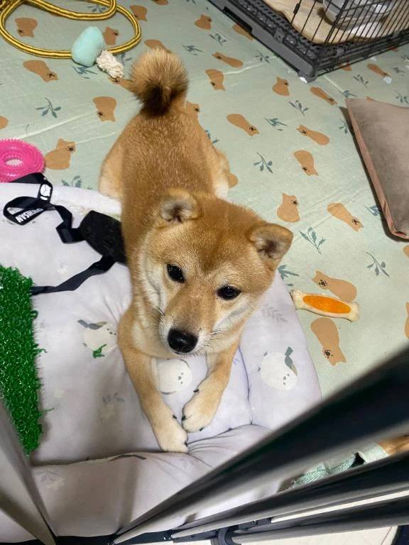 おはようございます