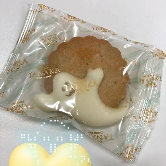 👻🍪♡
