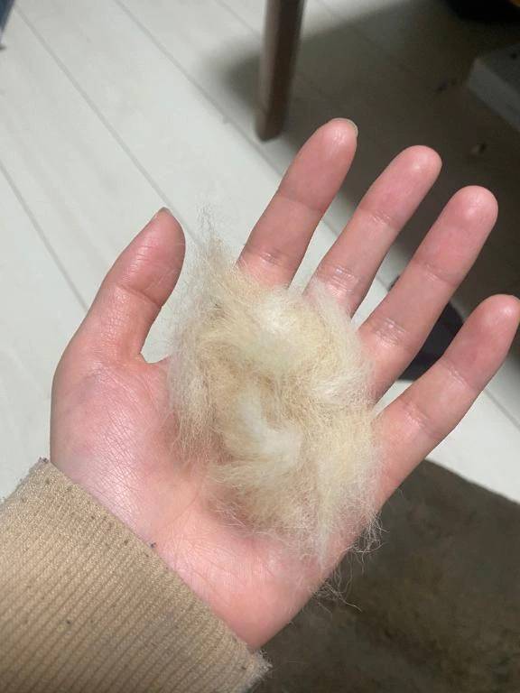 今日から
