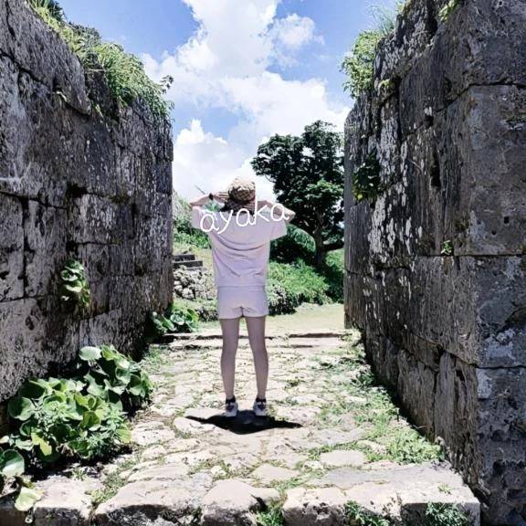 新着11月出勤予定