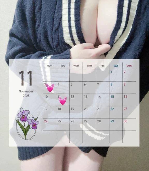 💓ふわりの11月の予定💓