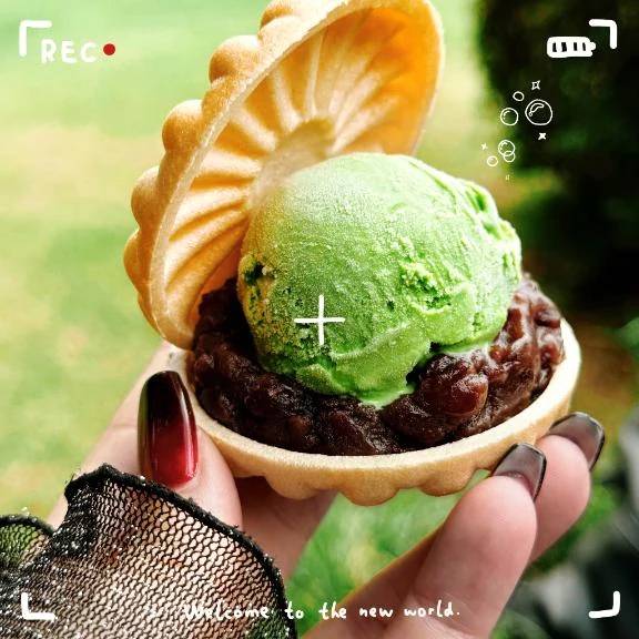 お散歩好き〜🌳