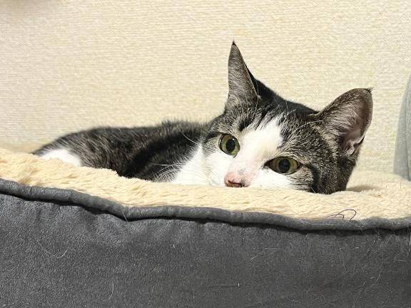 寒くて毛が生えそうだ…ッッ←