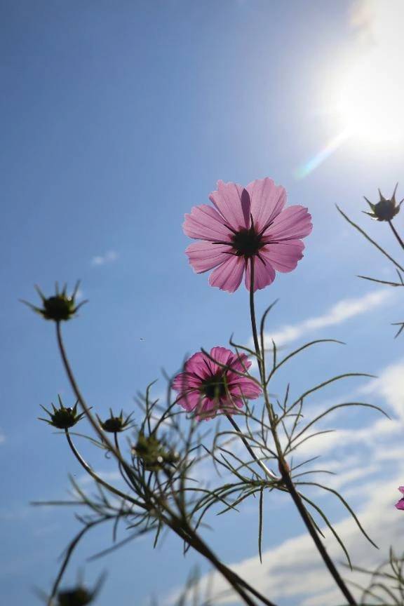 きょうもいちにち\( *´ω`* )/♪