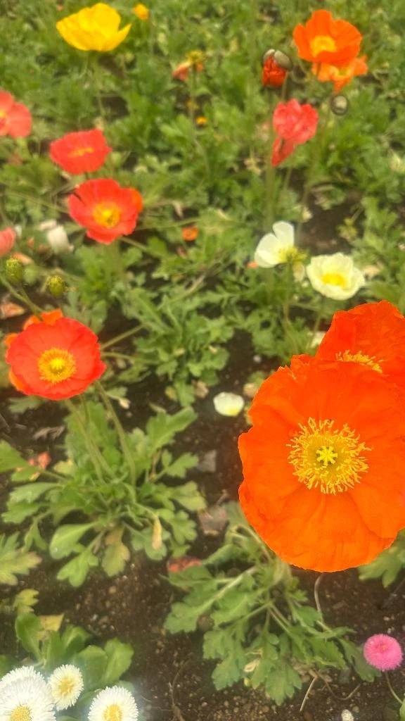 おはようございます☀️