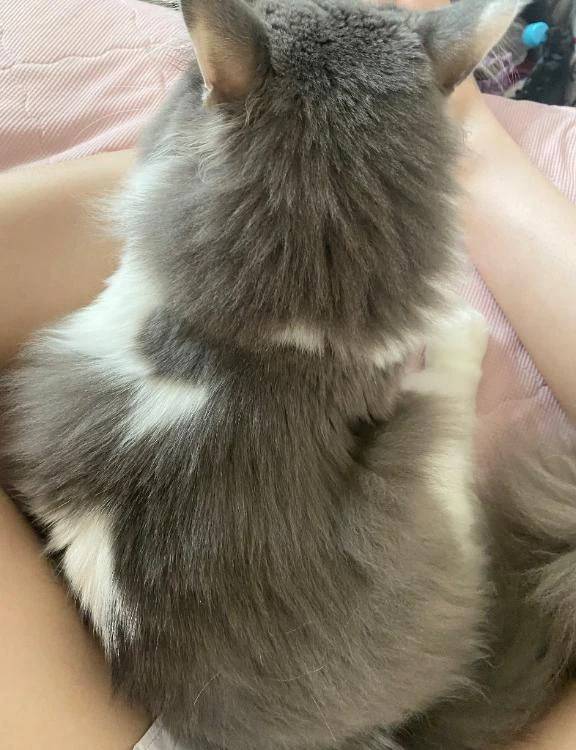 ありがとう♡♡