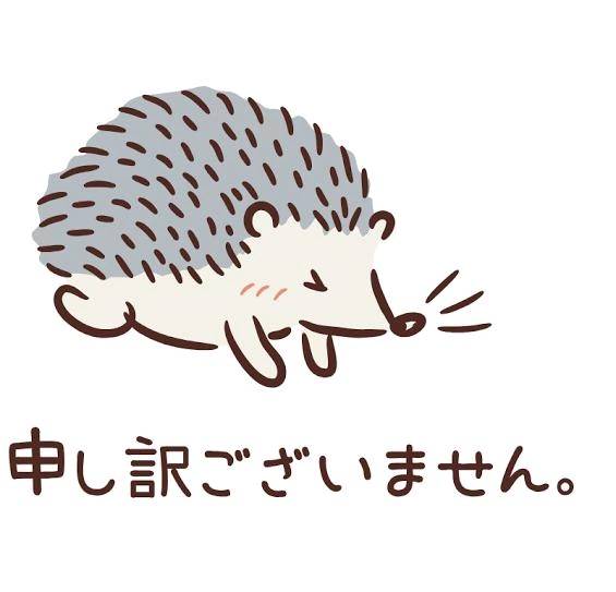 ごめんなさい🙇🏻‍♀️