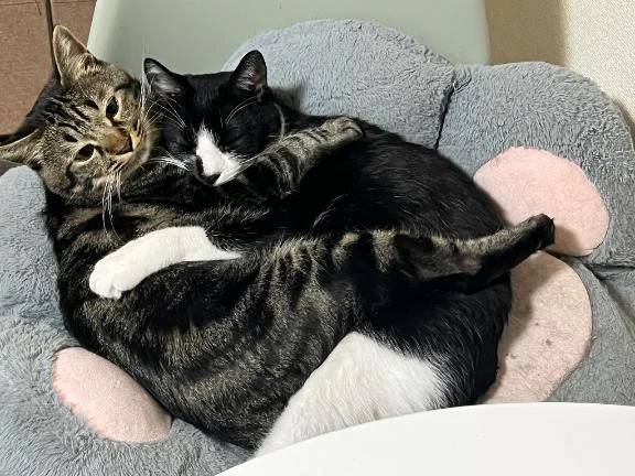 世界が私を拒絶している…（訳:寒い）