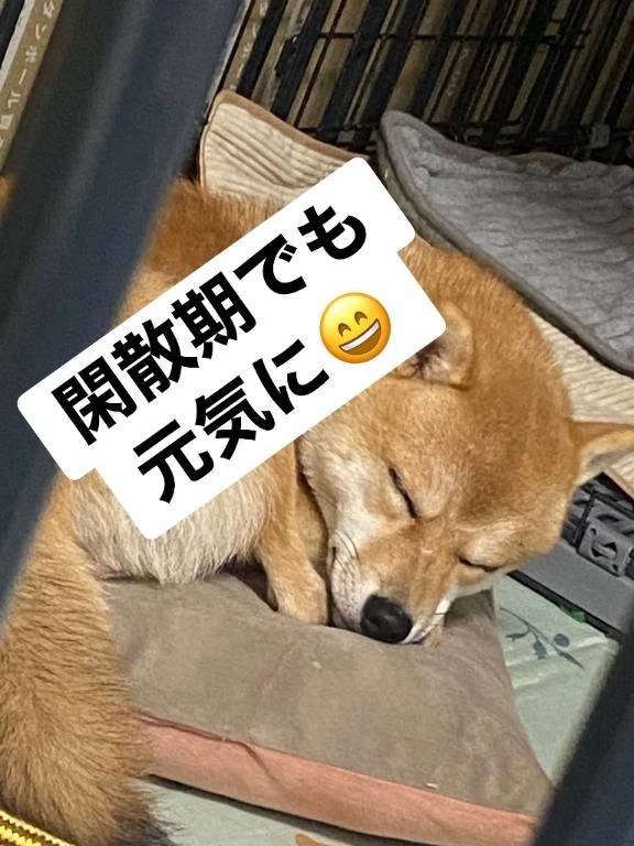 今日は