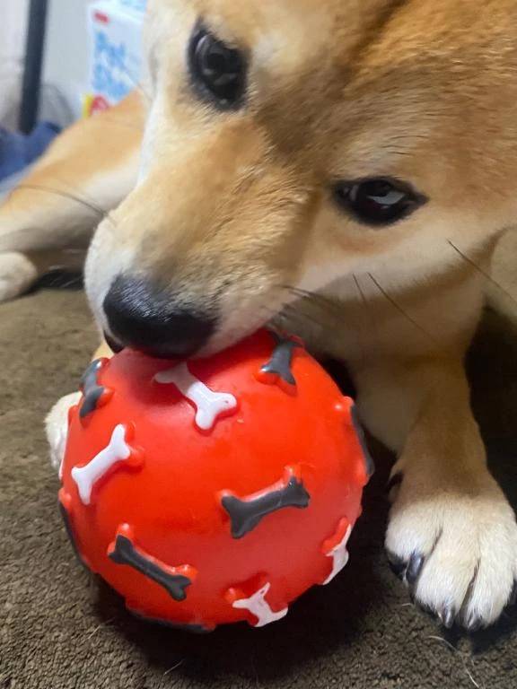 完売ִֶָ. ..𓂃 ࣪ ִֶָ ʚଓ་༘࿐