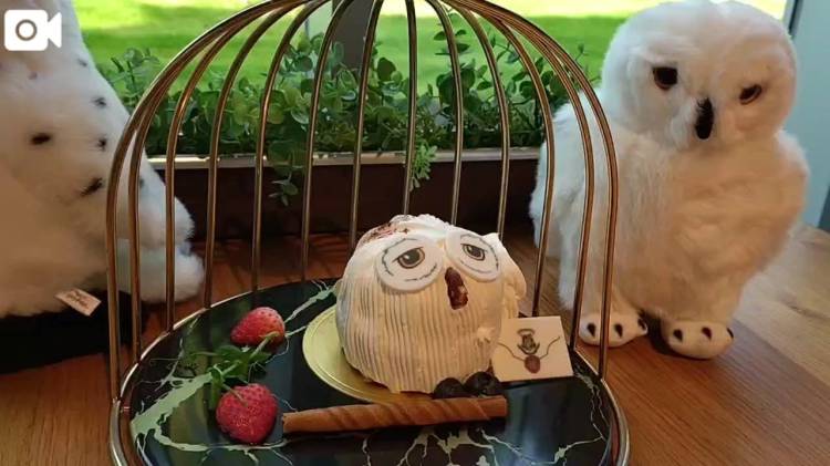 深夜のスイーツテロ🦉