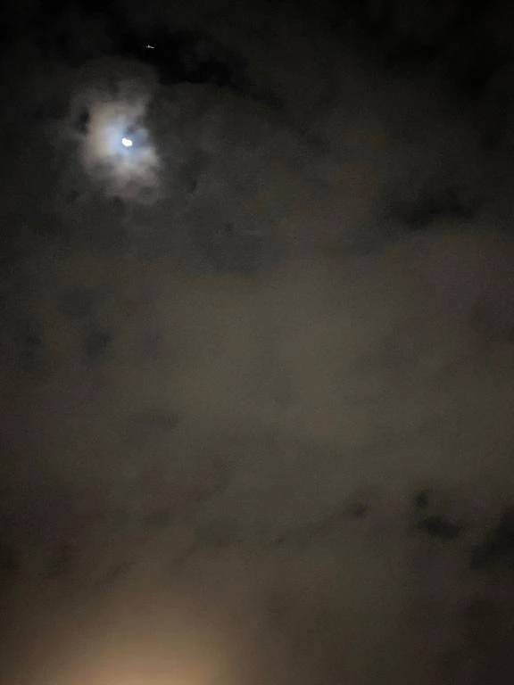 おはようございます