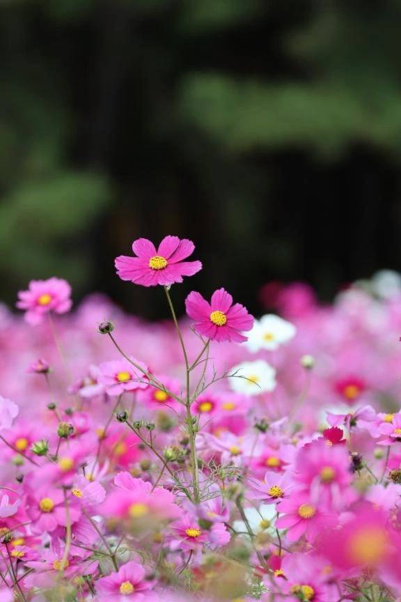 11/11ありがとう\( *´ω`* )/♪