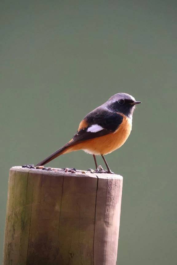 きょうもいちにち\( *´ω`* )/♪