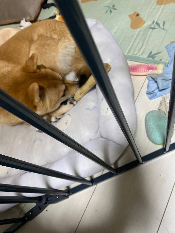 おはようございます