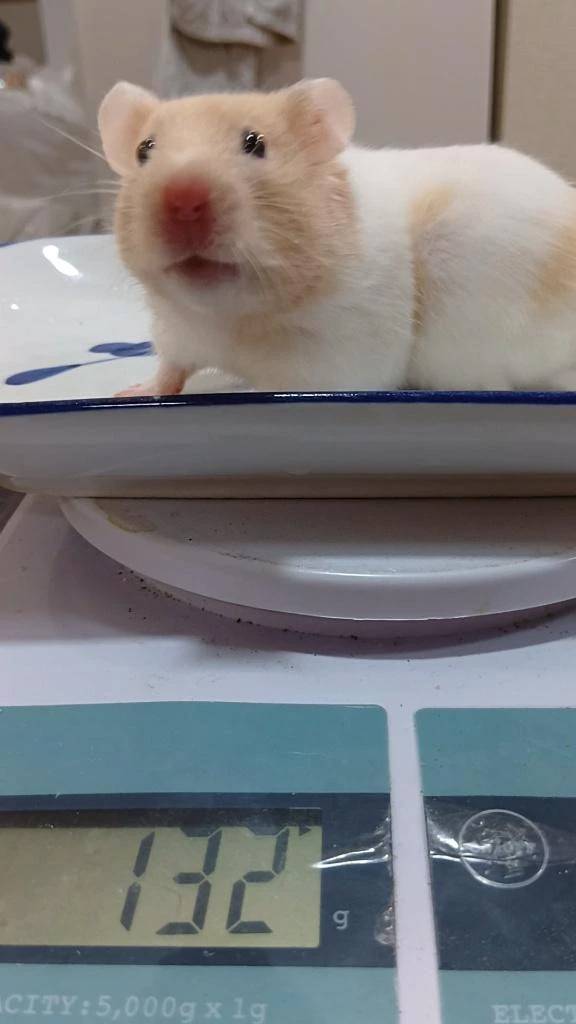 おやすみ中、そして誕生日