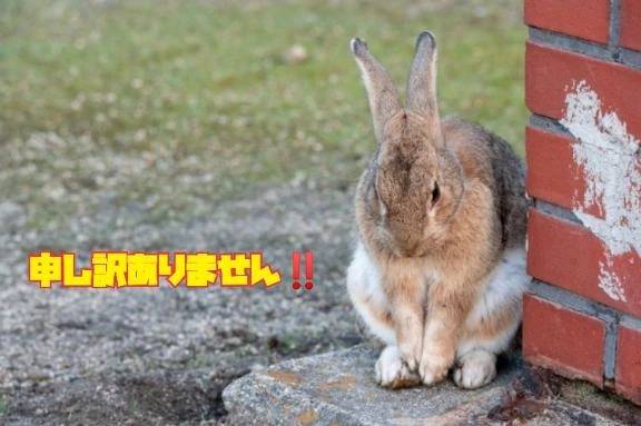 ごめんなさい🙏