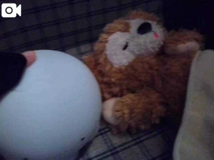 癒されましょ🪼