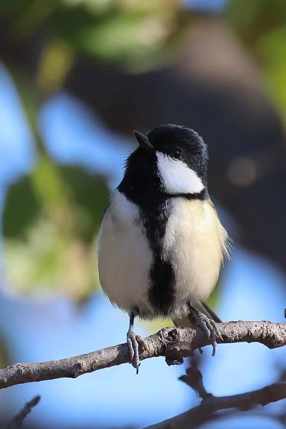 きょうもいちにち\( *´ω`* )/♪
