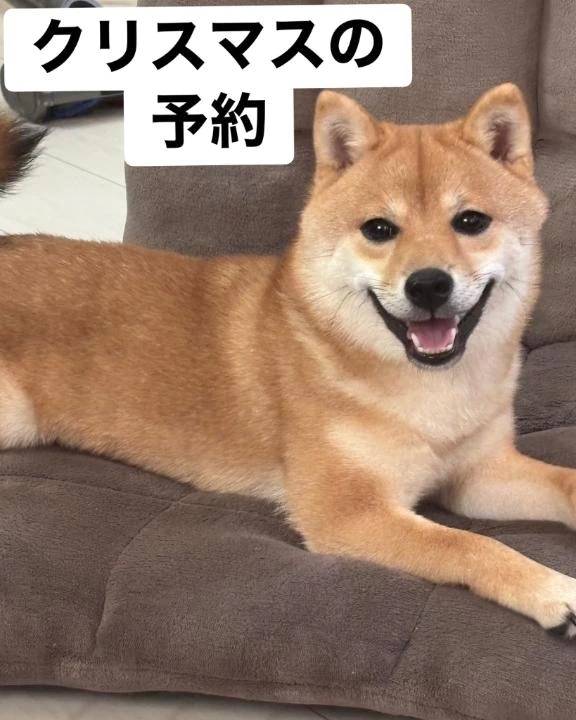12月24日の先行予約🎄