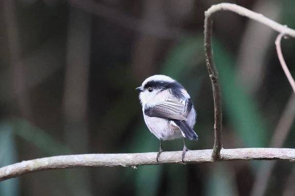 きょうもいちにち\( *´ω`* )/♪