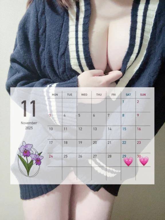 💗11月残りのふわりの予定💗